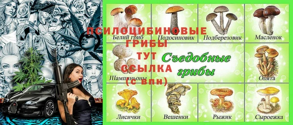 хмурый Киренск