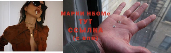 прущие грибы Кинешма