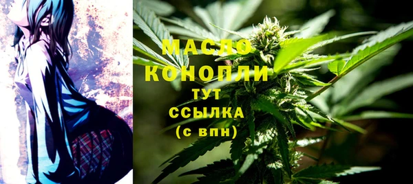 гидра Костерёво