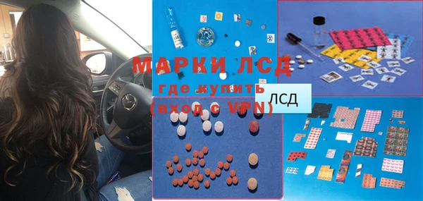 прущие грибы Кинешма